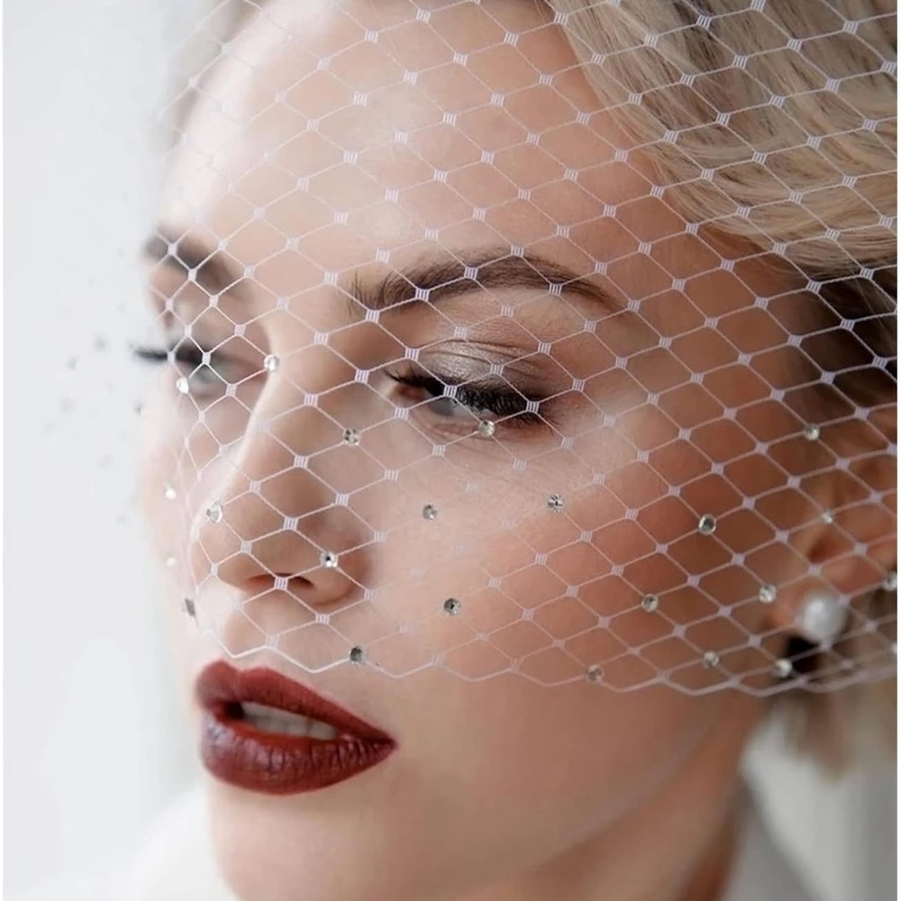 BRAND NEW BIRDCAGE VEIL.
